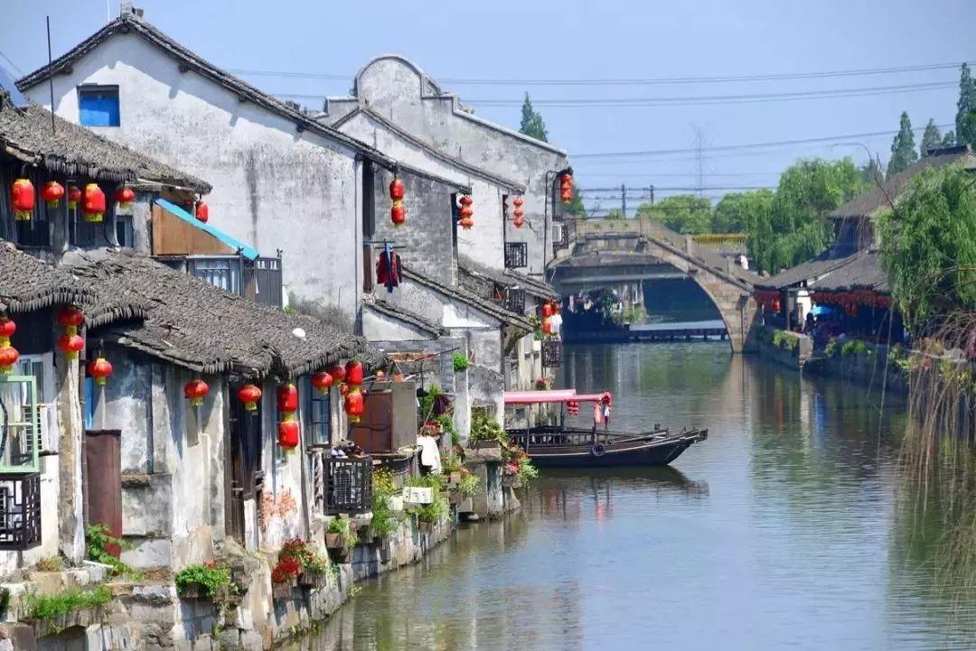 忍者鲨鱼
